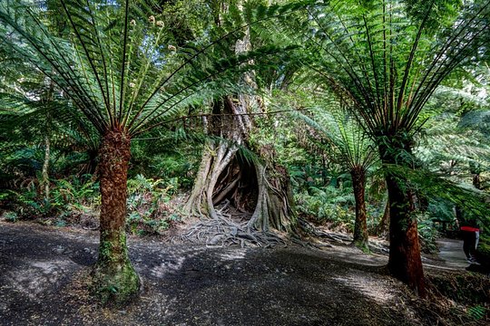 Tour image 4